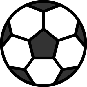 Sport Icon