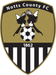 Team Logo